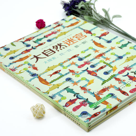 精装地板书：大自然迷宫 [3-6岁] 商品图1