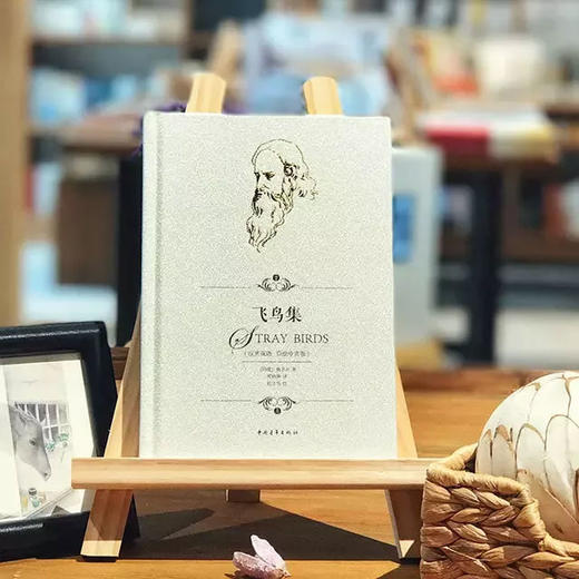 《飞鸟集》[印度]泰戈尔著 郑振铎译 杜文涓绘 商品图0