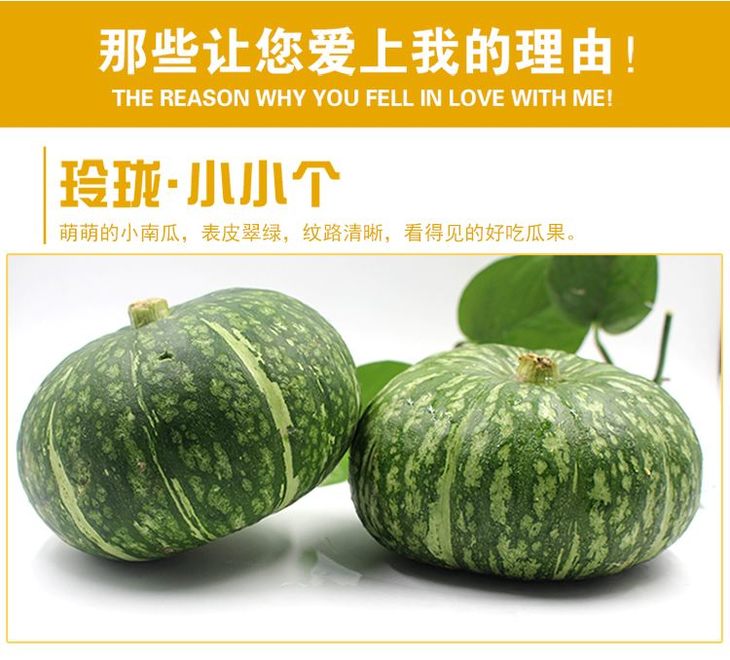 甘肃民勤 真板栗味南瓜 3-4个/件(约6-7斤)生态种植 老果 够面够糯