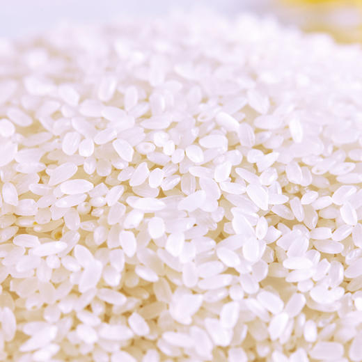 【备用】【砍价0元购】元态农夫鲜东北优质大米10kg 商品图1