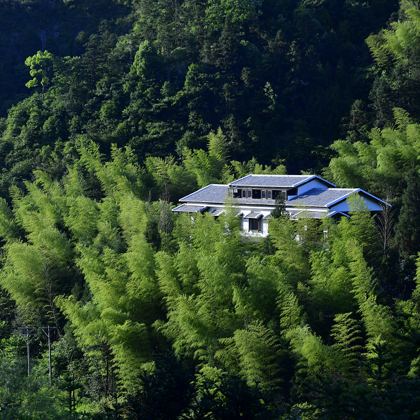 【双十一】温州楠溪江 青箬山房丨日式民宿(含晚餐) 抢购