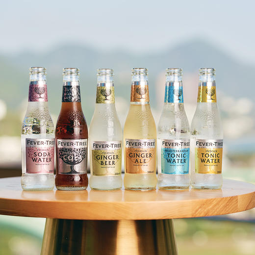 芬味树汽水200ml x 24瓶 Fever-Tree Mixer 200ml x 24 bottles 商品图0