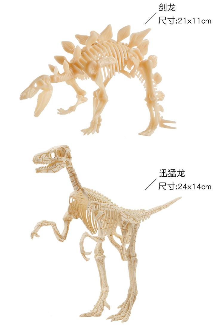 手工diy挖掘恐龙化石 激发孩子好奇心