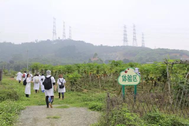 【8月18日】风行牛奶仙泉湖牧场参观~探秘牛奶的生产过程~和奶牛亲密