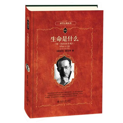 《生命是什么（附我的世界观）》 商品图0