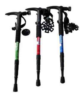 艾瑞迪 | 登山杖D-002 商品图0