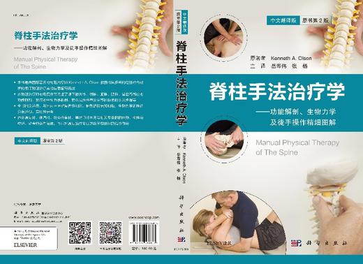 脊柱手法治疗学：功能解剖、生物力学及徒手操作精细图解 商品图3