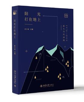 《阳光打在地上——北大当代诗选1978—2018》