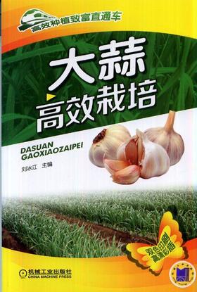 大蒜高效栽培机械工业出版社 正版书籍