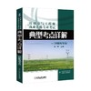  注册电气工程师 执业资格 专业考试 典型考点 详解 冯峰 主编 供配电专业 考题详解 新规范 考试参考书 电气勘察 设计 商品缩略图0