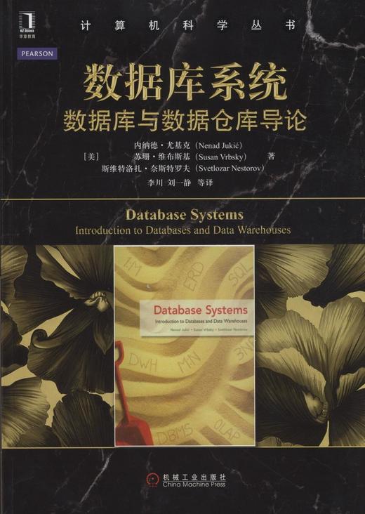 数据库系统：数据库与数据仓库导论机械工业出版社 正版书籍 商品图0