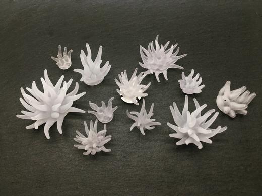 【周边饰品】那禾壹壹海葵系列饰品 - 像海葵一样努力生长，总有小丑鱼来安家 商品图1