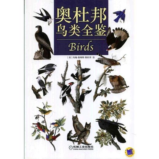 奥杜邦鸟类全鉴机械工业出版社 正版书籍 商品图0