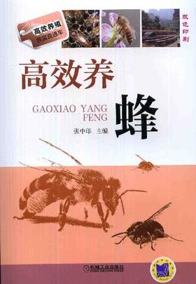高效养蜂机械工业出版社 正版书籍