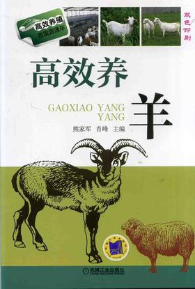 高效养羊机械工业出版社 正版书籍