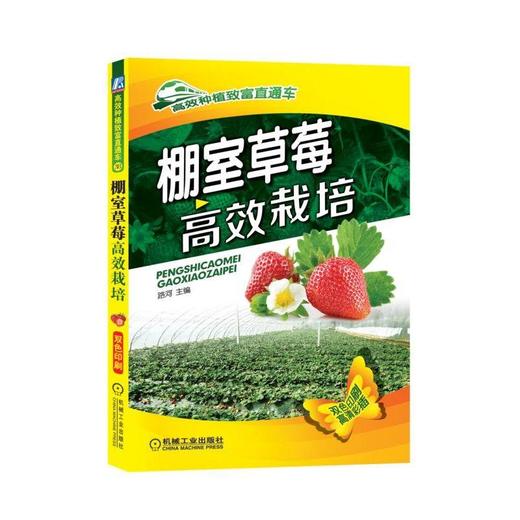 棚室草莓高效栽培（突出草莓设施栽培中各个生产环节的管理方法）机械工业出版社 正版书籍 商品图0