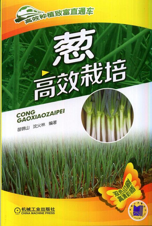 葱高效栽培机械工业出版社 正版书籍 商品图0