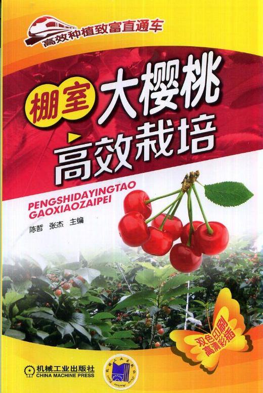 弱电及综合布线工程机械工业出版社 正版书籍 商品图0