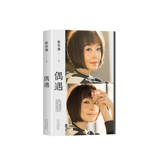 陈鲁豫：偶遇 商品图0
