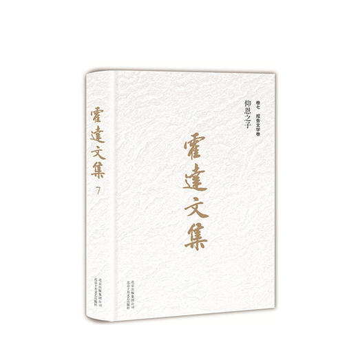 霍达文集卷七报告文学卷 仰恩之子 商品图1