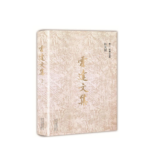 霍达文集  卷二  长篇小说卷  补天裂 商品图0