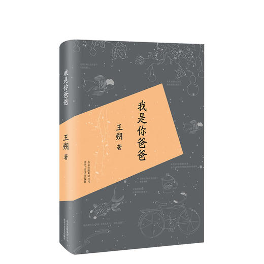 王朔 ：我是你baba 商品图0