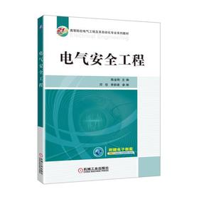 电气安全工程电气事故 防治技术