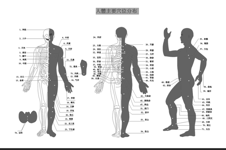 天地之间,六合之内,其气九州,九窍,五脏,十二节,皆通乎天气.