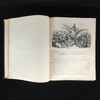 多雷插图版《堂吉诃德》 1880年左右真皮精装大量精彩插图 商品缩略图7