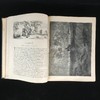 多雷插图版《堂吉诃德》 1880年左右真皮精装大量精彩插图 商品缩略图9