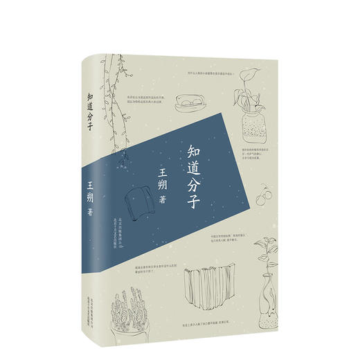 王朔：知道分子 商品图0