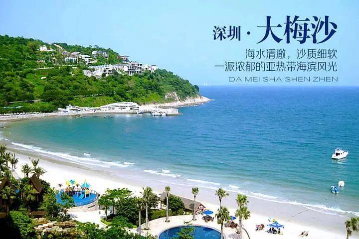 免费游大梅沙沙滩!