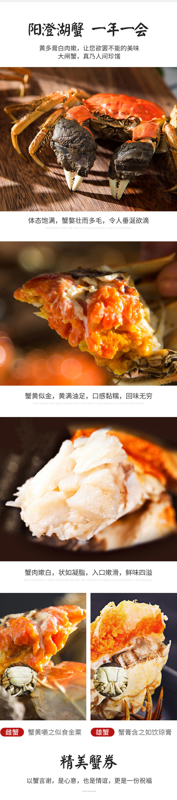 赛美味大闸蟹2998型 10只装