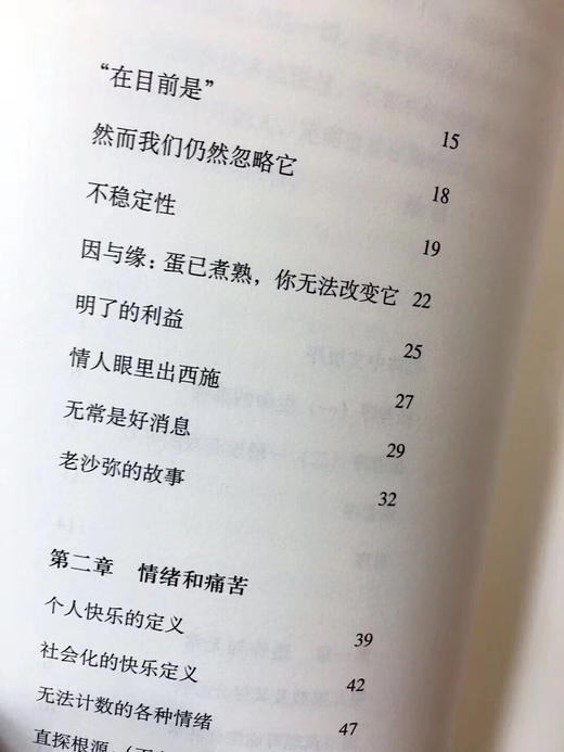 正见  精装版本  珍藏版 宗萨仁波切 著    李连杰、胡因梦作序推荐 商品图8