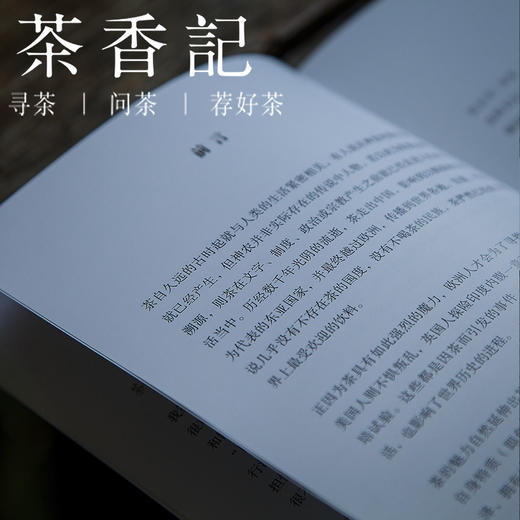 茶香记 《茶席摆设》 茶席美学 居家美学 多图精美 参考范例 商品图3