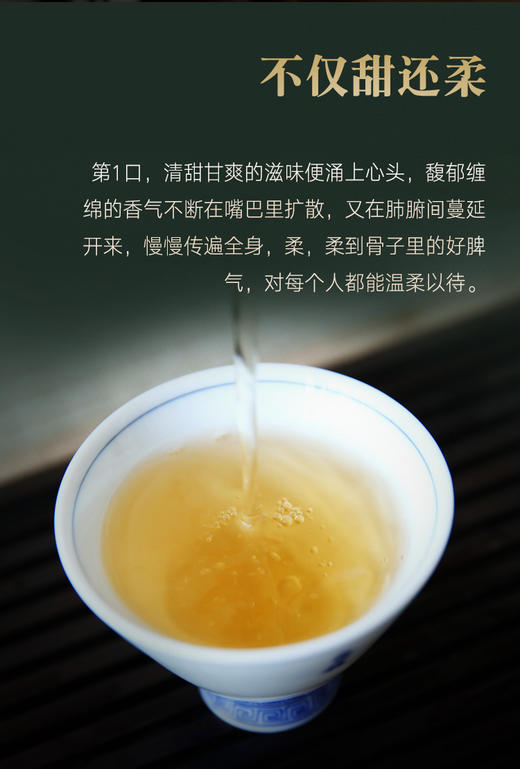 吉顺号普洱银芽散茶150g精致铁罐装 商品图2