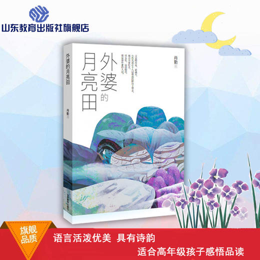 外婆的月亮田 第十届少数民族文学骏马奖得主肖勤原创儿童文学作品 温情暖心读物  6-12岁小学儿童文学 商品图0