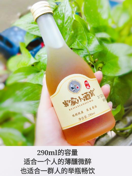 宏丰精选  客家小酒窝鲜酿米酒620ml 290ml 手工自酿糯米酒 商品图0