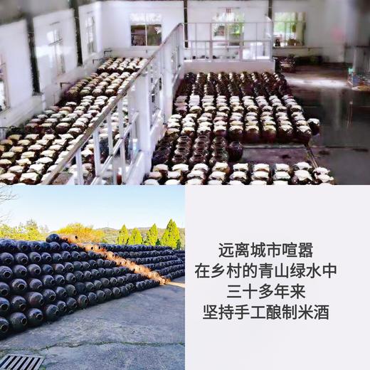 宏丰精选  客家小酒窝鲜酿米酒620ml 290ml 手工自酿糯米酒 商品图4