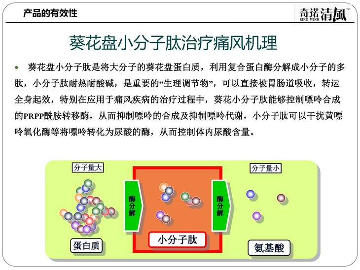 奇诺清风