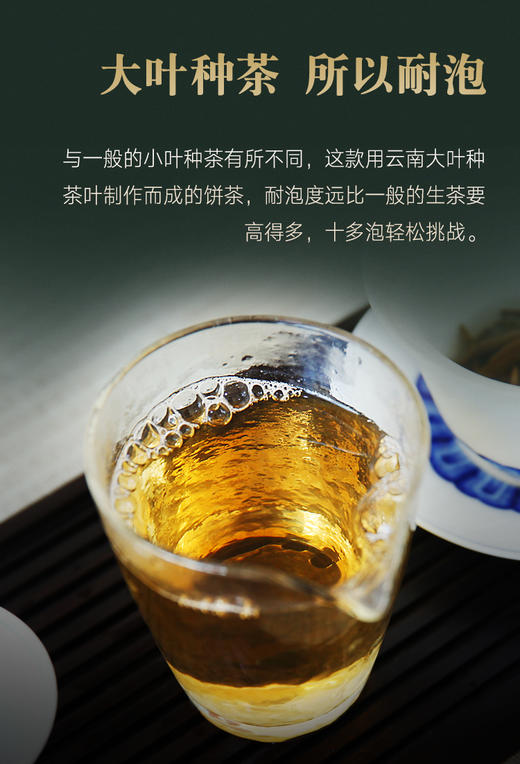 吉顺号普洱银芽散茶150g精致铁罐装 商品图1