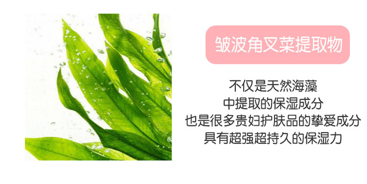 烟酰胺 皱波角叉菜提取物 珍珠提取物