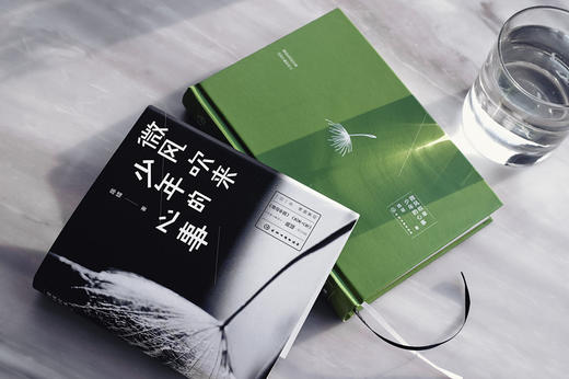 微风吹来少年的心事 商品图5