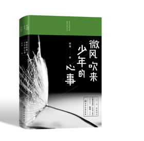 微风吹来少年的心事