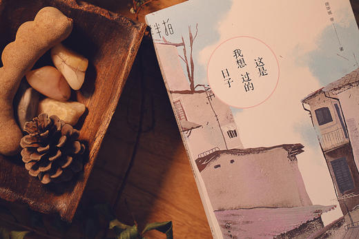 这是我想过的日子 商品图2