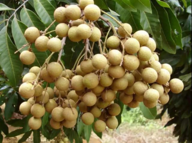 ʯ ʯ̸ͷе,Ƥ,ˬڴζ,֭.