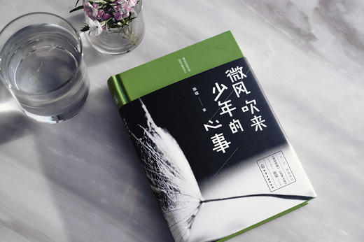 微风吹来少年的心事 商品图2