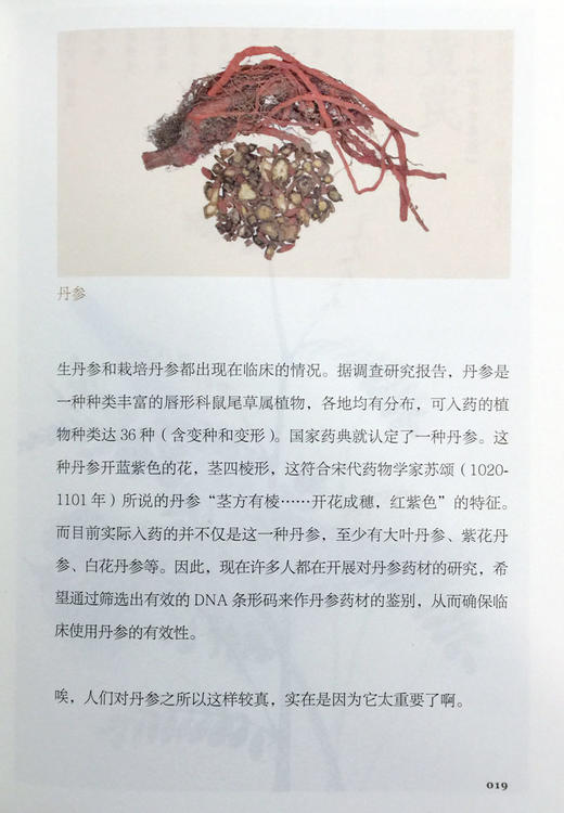 生长在时光的柔波里 嵇元 嵇晔著 人民卫生出版社9787117233156 商品图4