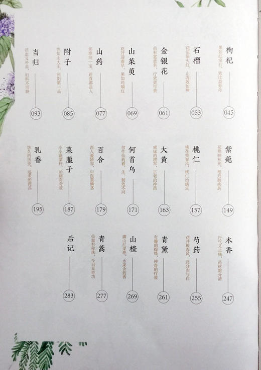 生长在时光的柔波里 嵇元 嵇晔著 人民卫生出版社9787117233156 商品图2