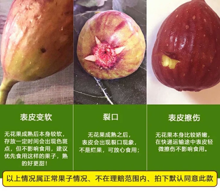 红皮新鲜无花果 奶浆蜜果 天然糖包子 一盒装(4枚大果